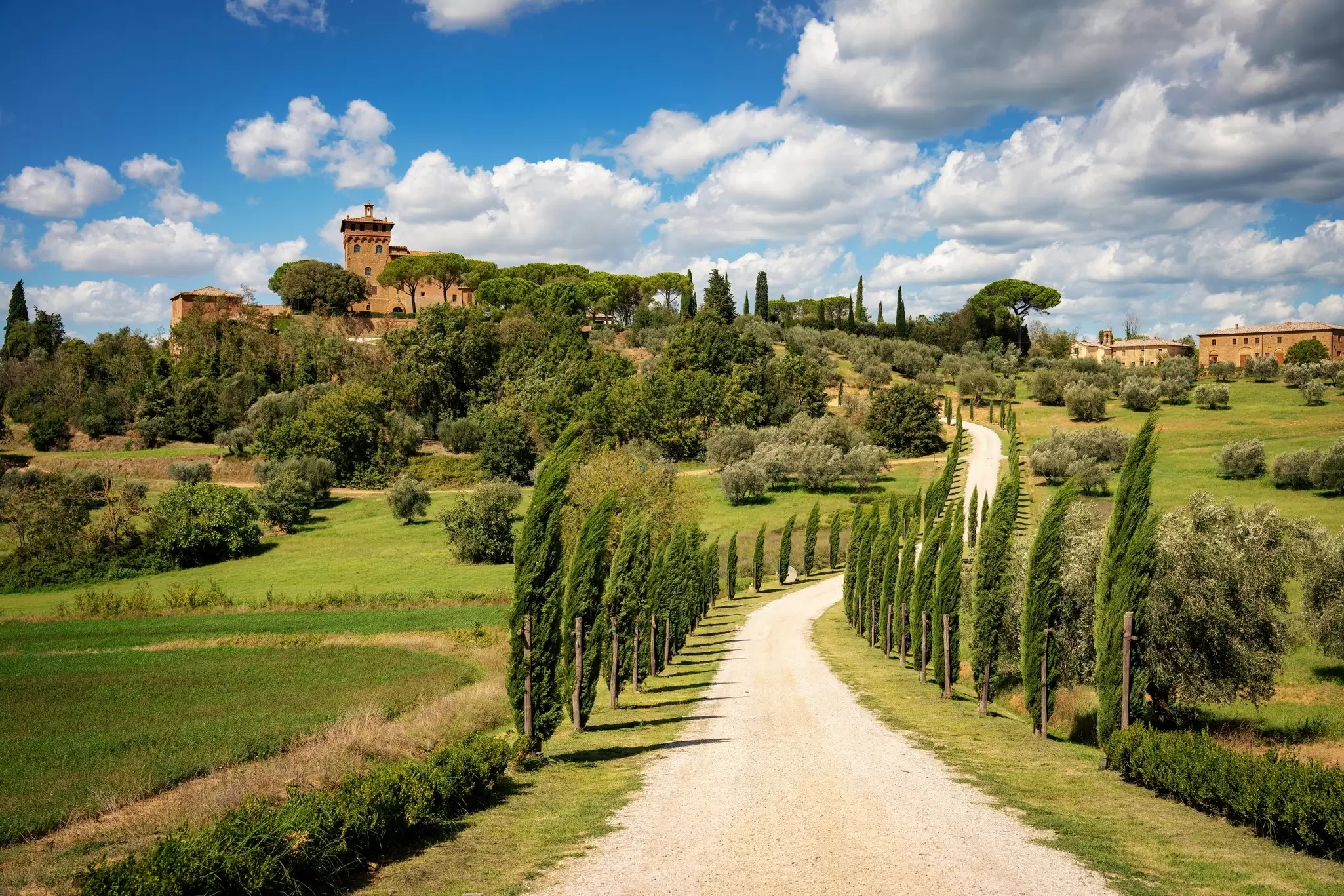 A classic cyprus-lined lane in Tuscany. aBSicht/Shutterstock
