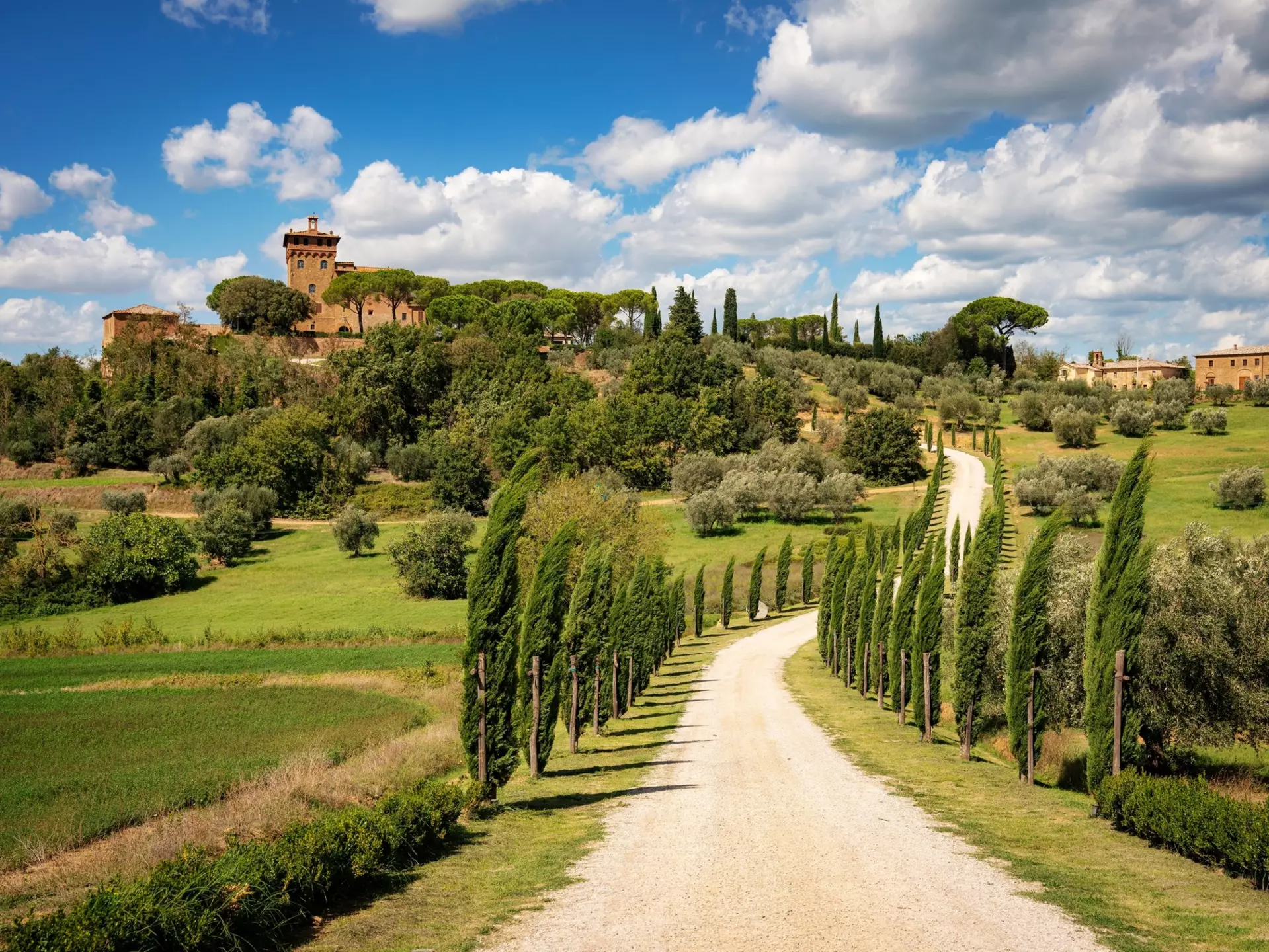 A classic cyprus-lined lane in Tuscany. aBSicht/Shutterstock