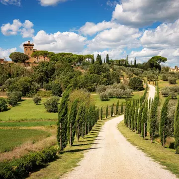 A classic cyprus-lined lane in Tuscany. aBSicht/Shutterstock