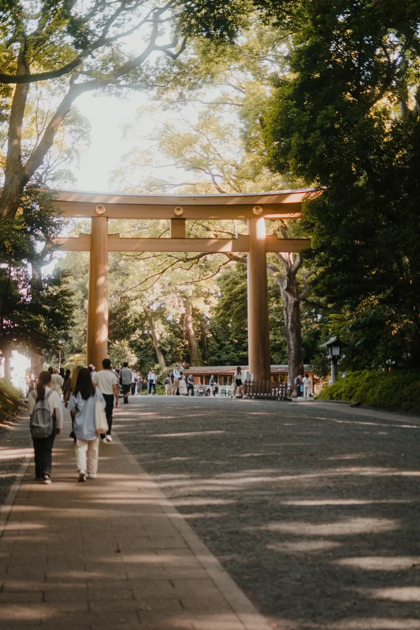 Tokyo, Japan; June 12, 2024: A general view of the Meiji Jingu shrine, including its large wooden torii gates, main building, and surrounding forested park., License Type: media, Download Time: 2025-10-14T12:22:38.000Z, User: katelyn.perry_lonelyplanet, Editorial: false, purchase_order: 65050 - Digital Destinations and Articles, job: wip, client: wip, other: Katelyn Perry