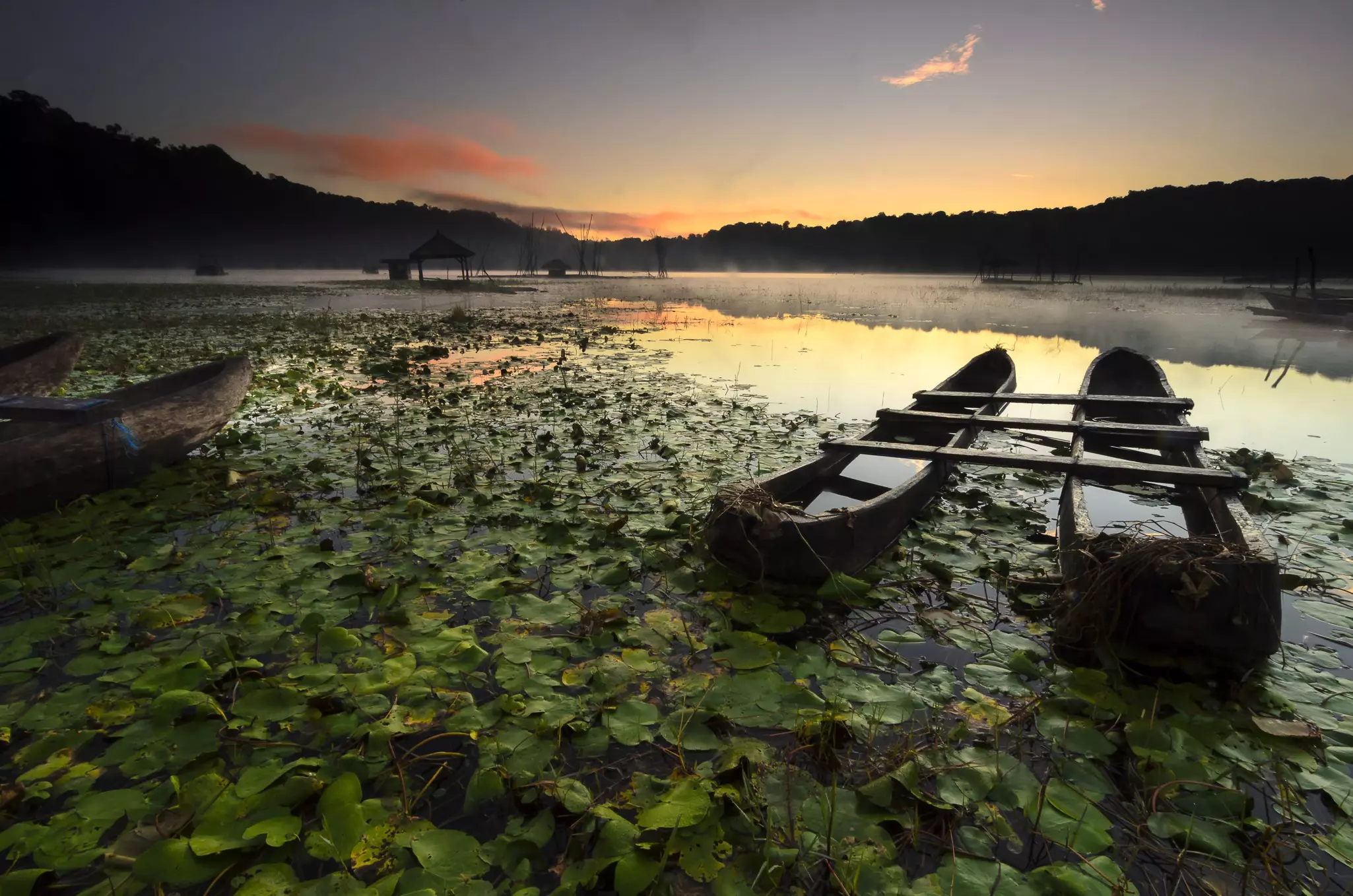 Two small canoes docked together among lily pads on the edge of a lake at sunrise.