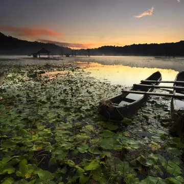 Two small canoes docked together among lily pads on the edge of a lake at sunrise.