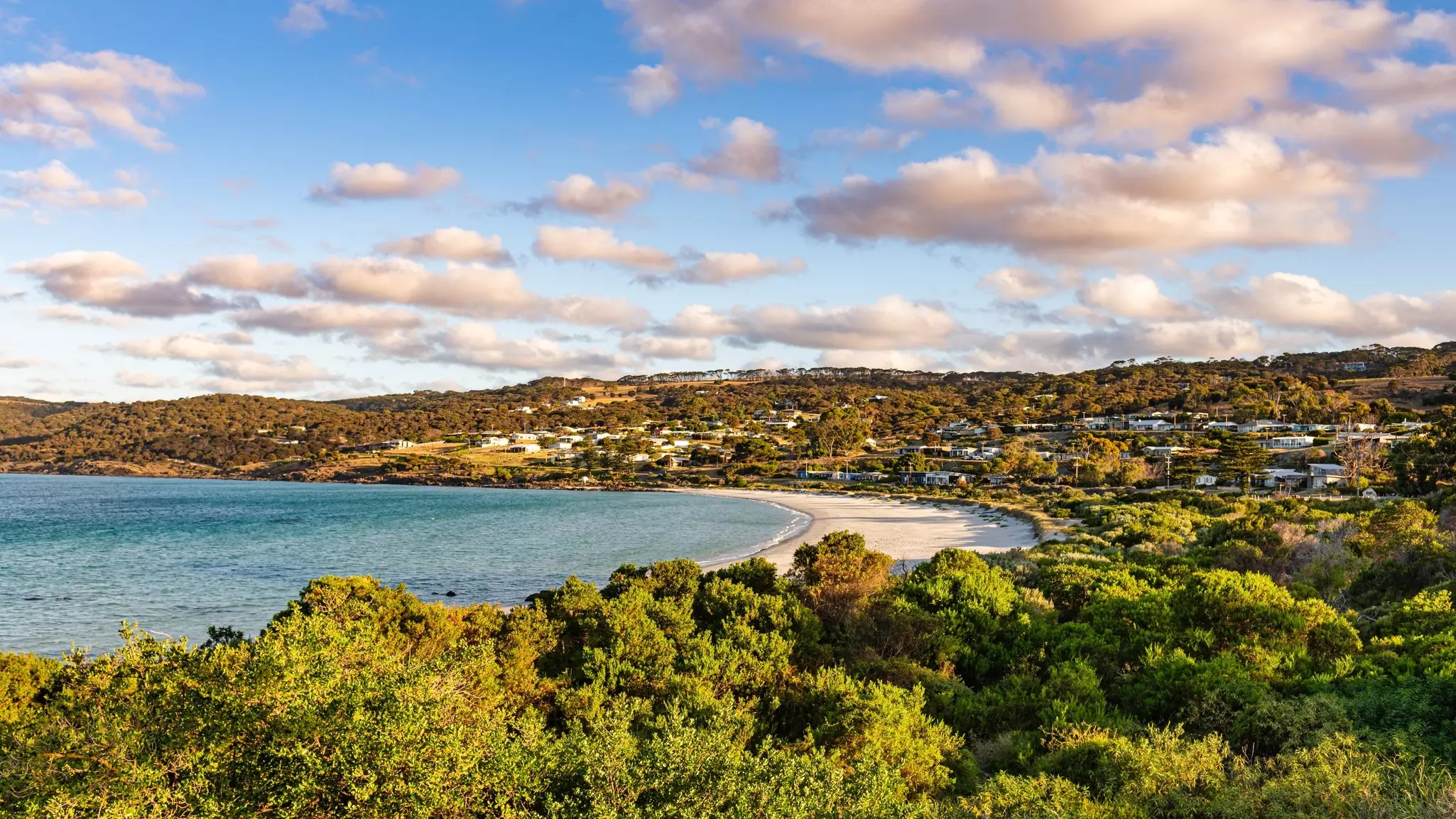 A sandy beach in a cove.