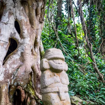 A mysterious statue of a male person  stands in the rainforest next to an old tree with large roots. The statues of San Agustin, Colombia are a mystery to historians.  License Type: media  Download Time: 2023-07-19T14:30:27.000Z  User: hannahblackie10  Is Editorial: No  purchase_order: