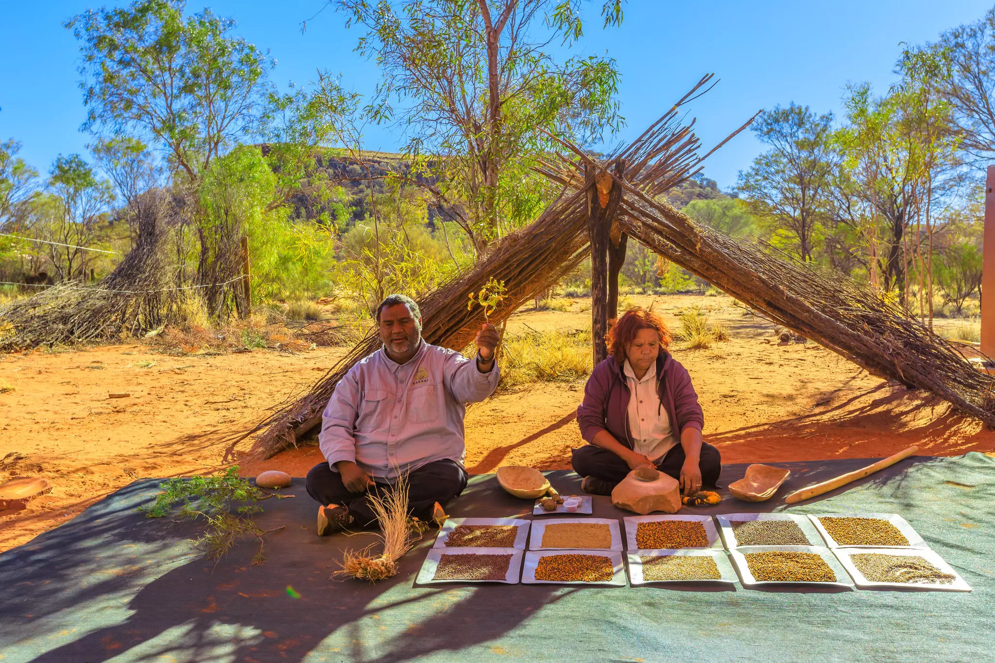 A man and woman sit in front of a tent constructed with sticks. Various seeds are arranged in front of the woman, and the man holds up a small cluster of plants.