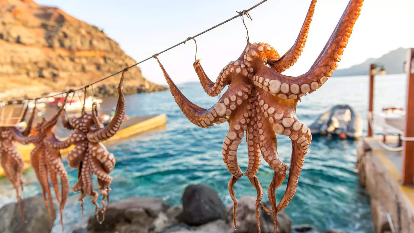 When in Greece, octopus is a must. LauraVl / Shutterstock