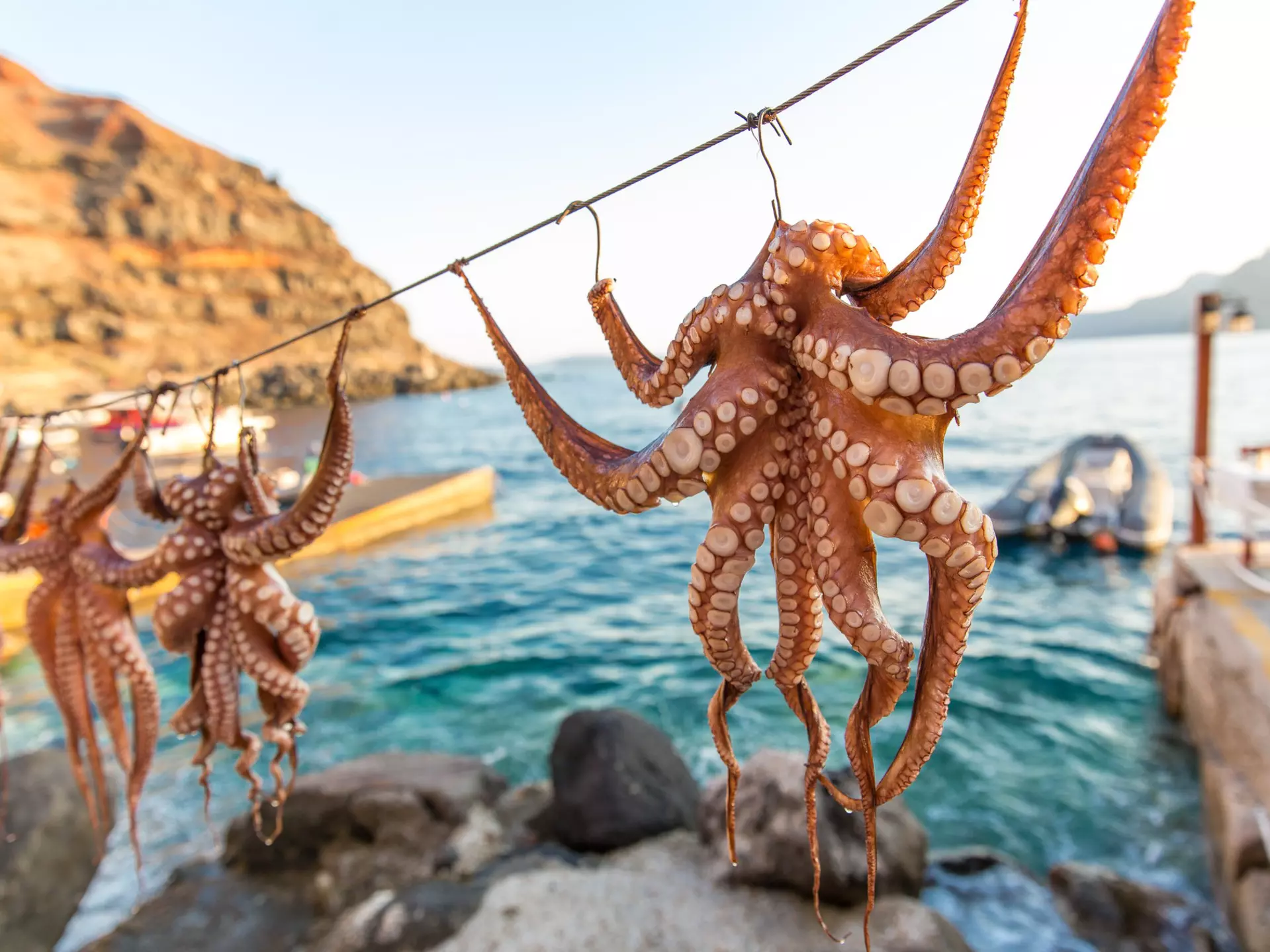 When in Greece, octopus is a must. LauraVl / Shutterstock