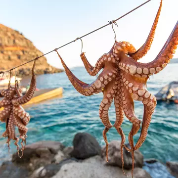 When in Greece, octopus is a must. LauraVl / Shutterstock