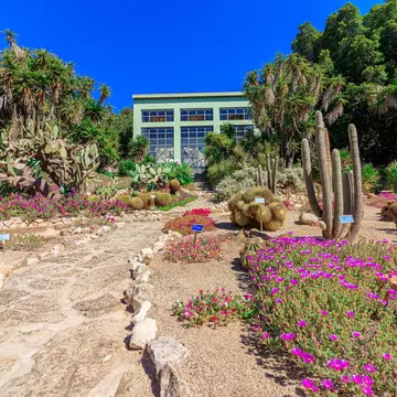Paths weave between flower beds filled with cacti in a botanical garden.