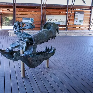 BIG BEND NATIONAL PARK, TEXAS / USA - MARCH 10 2018: The Fossil Discovery Exhibit at Big Bend National Park is a place where you can learn about fossils and geology of the park, Big Bend, Texas; Shutterstock ID 1250200000;