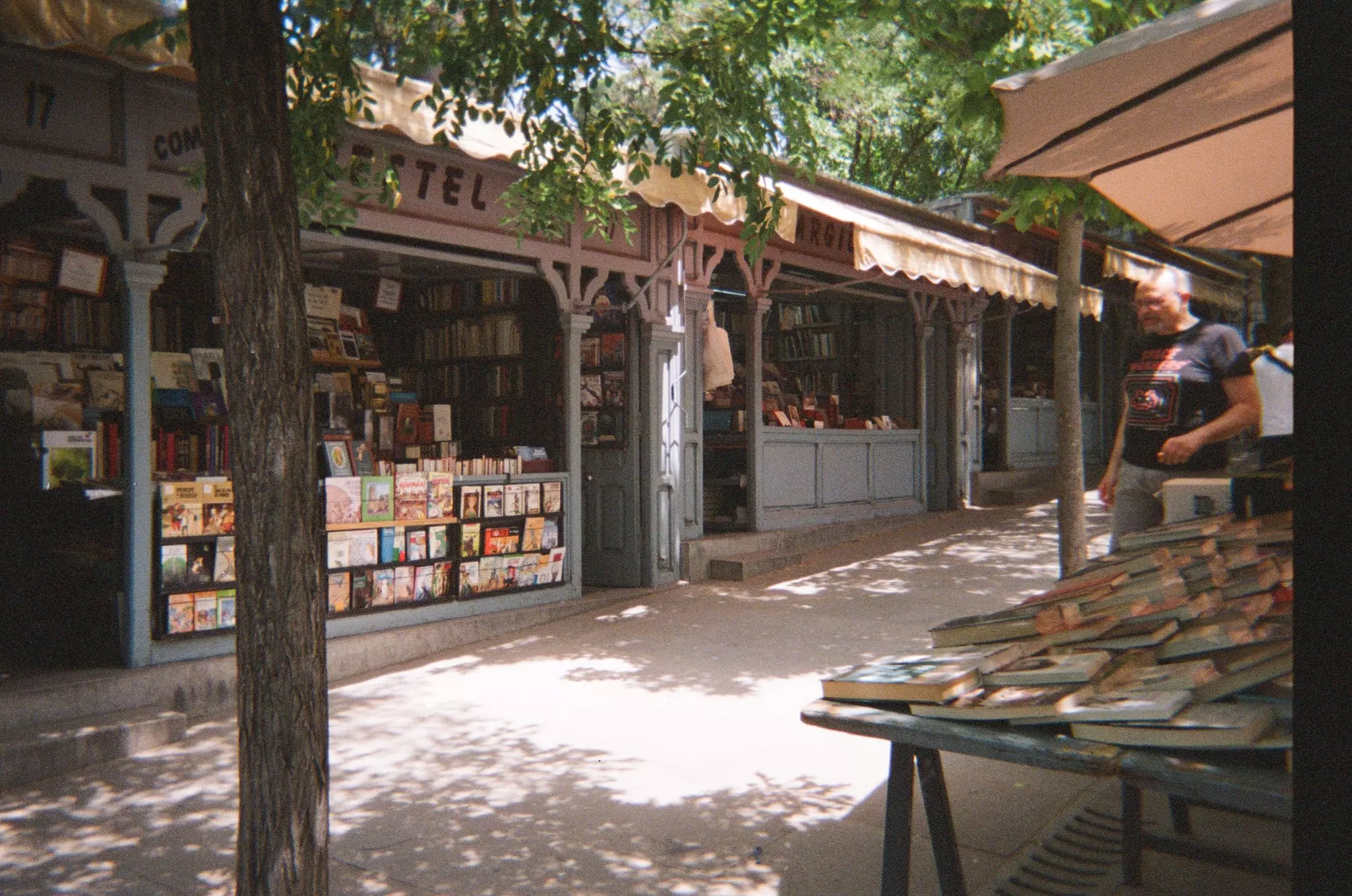 A view of book stalls with a dirt path between them and trees overhead