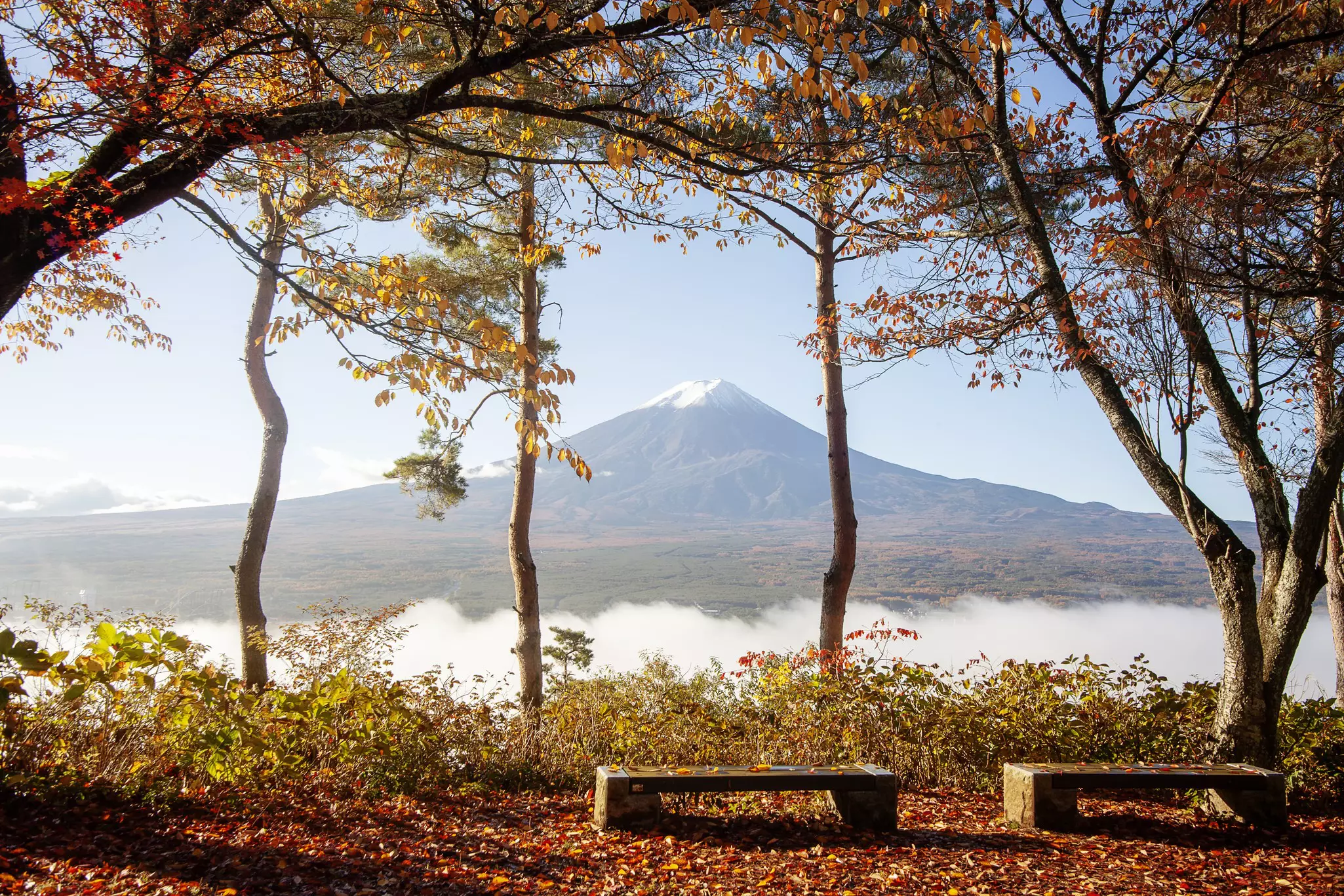 Lake Kawaguchiko, with Mt Fuji in the distance, Japan