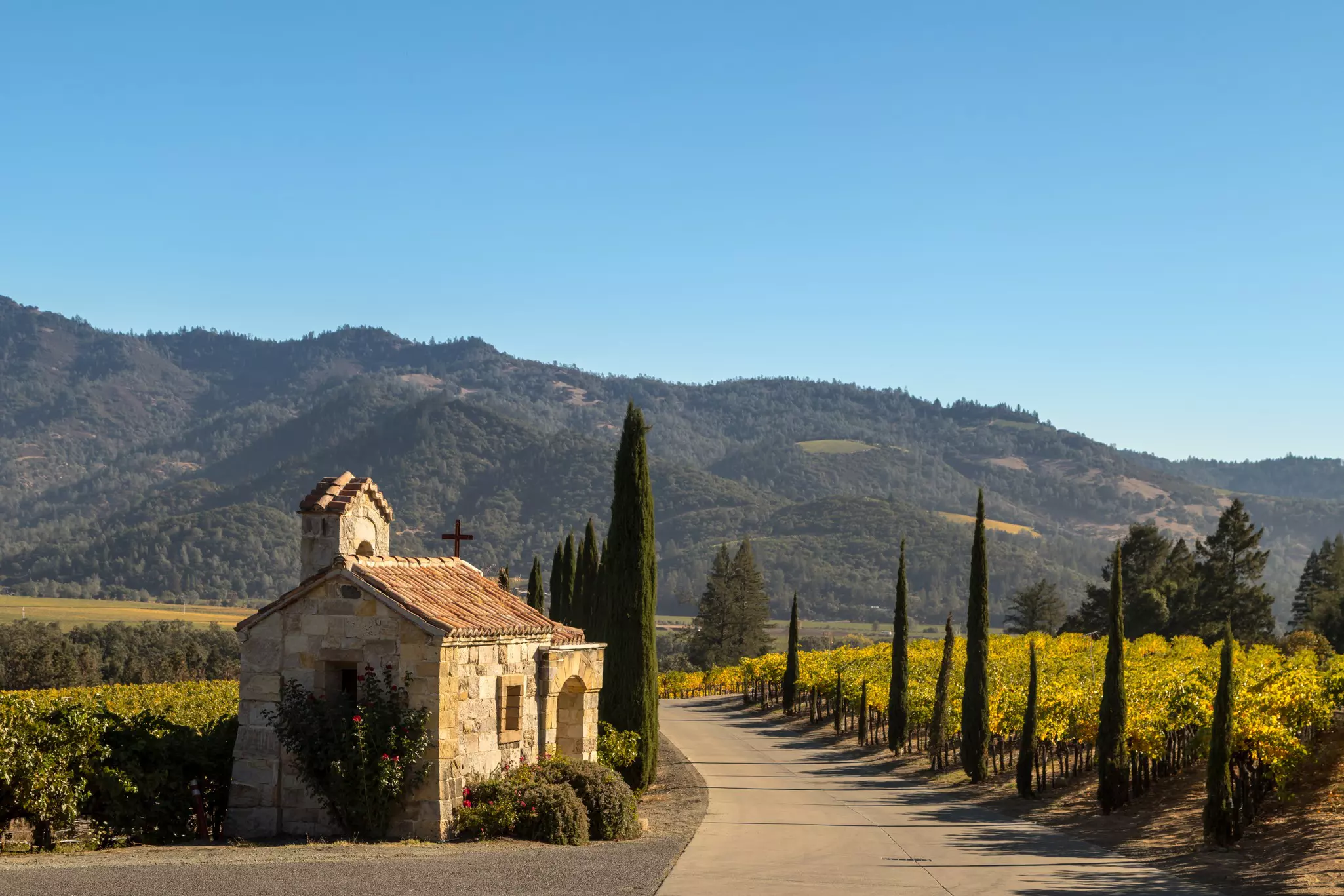 Winery in Napa Valley in Autumn