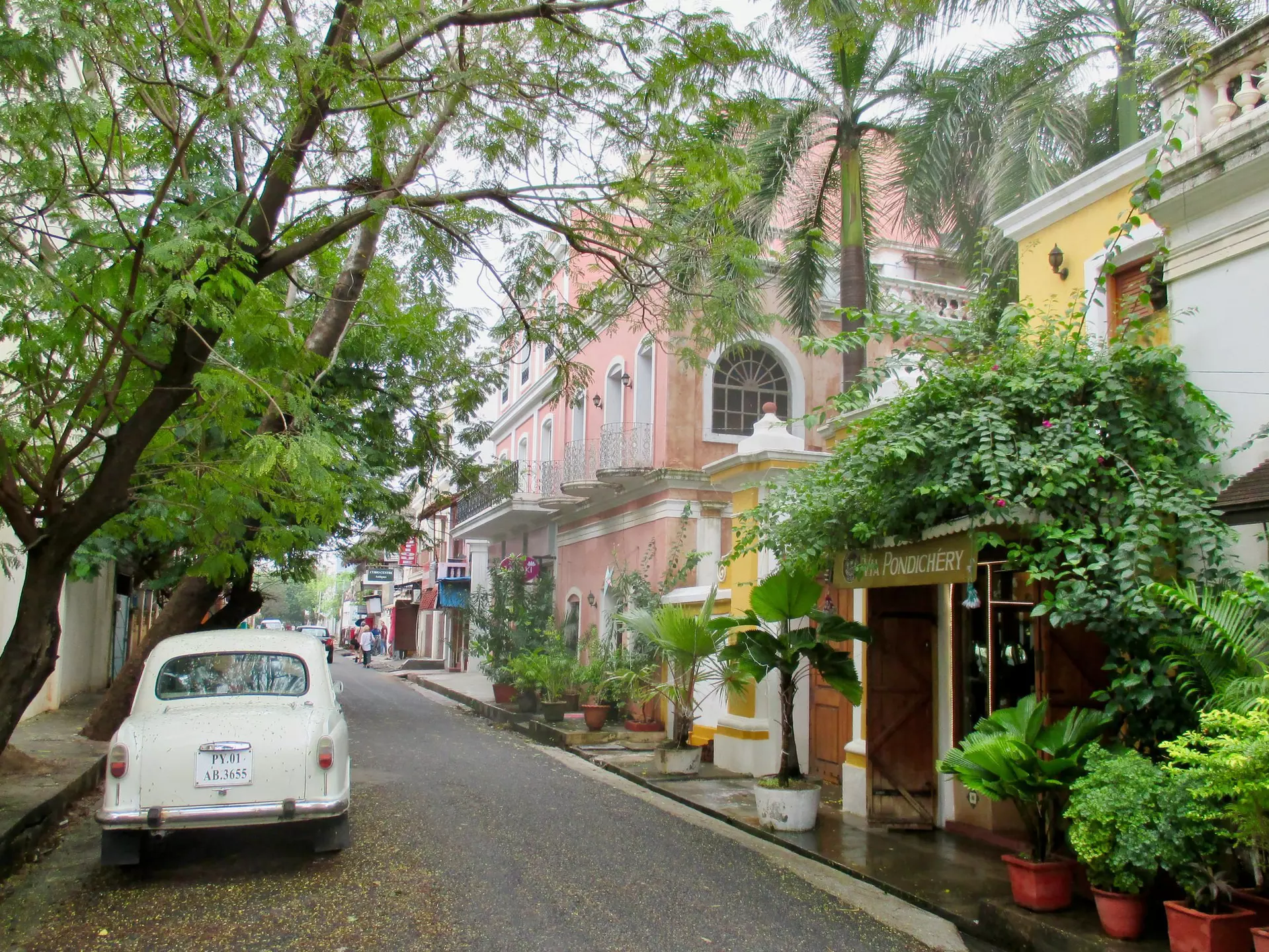Two-story pastel-colored buildings on a tree-lined street.