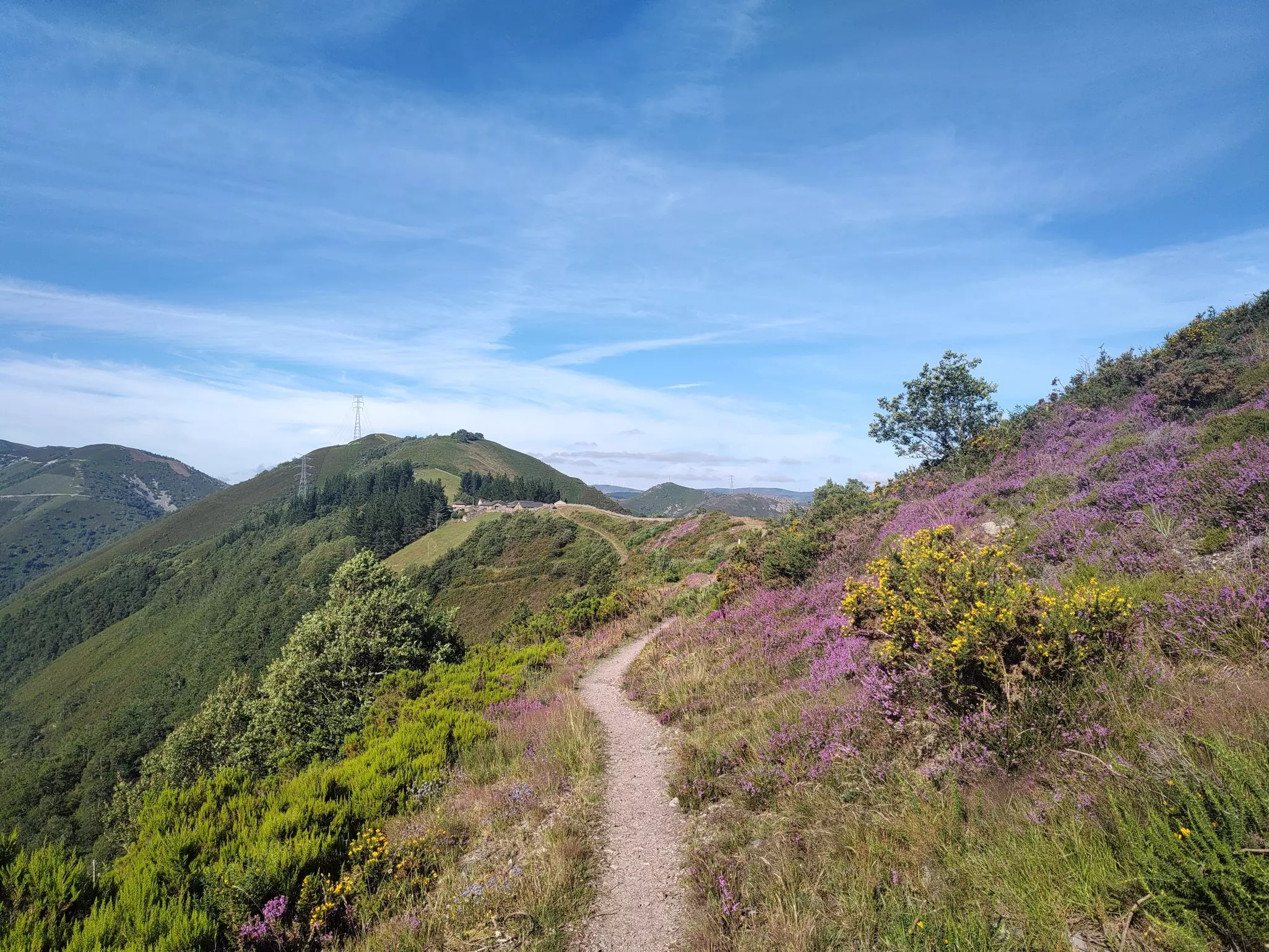 Sunny day in the mountains, Camino Primitivo, Spain.