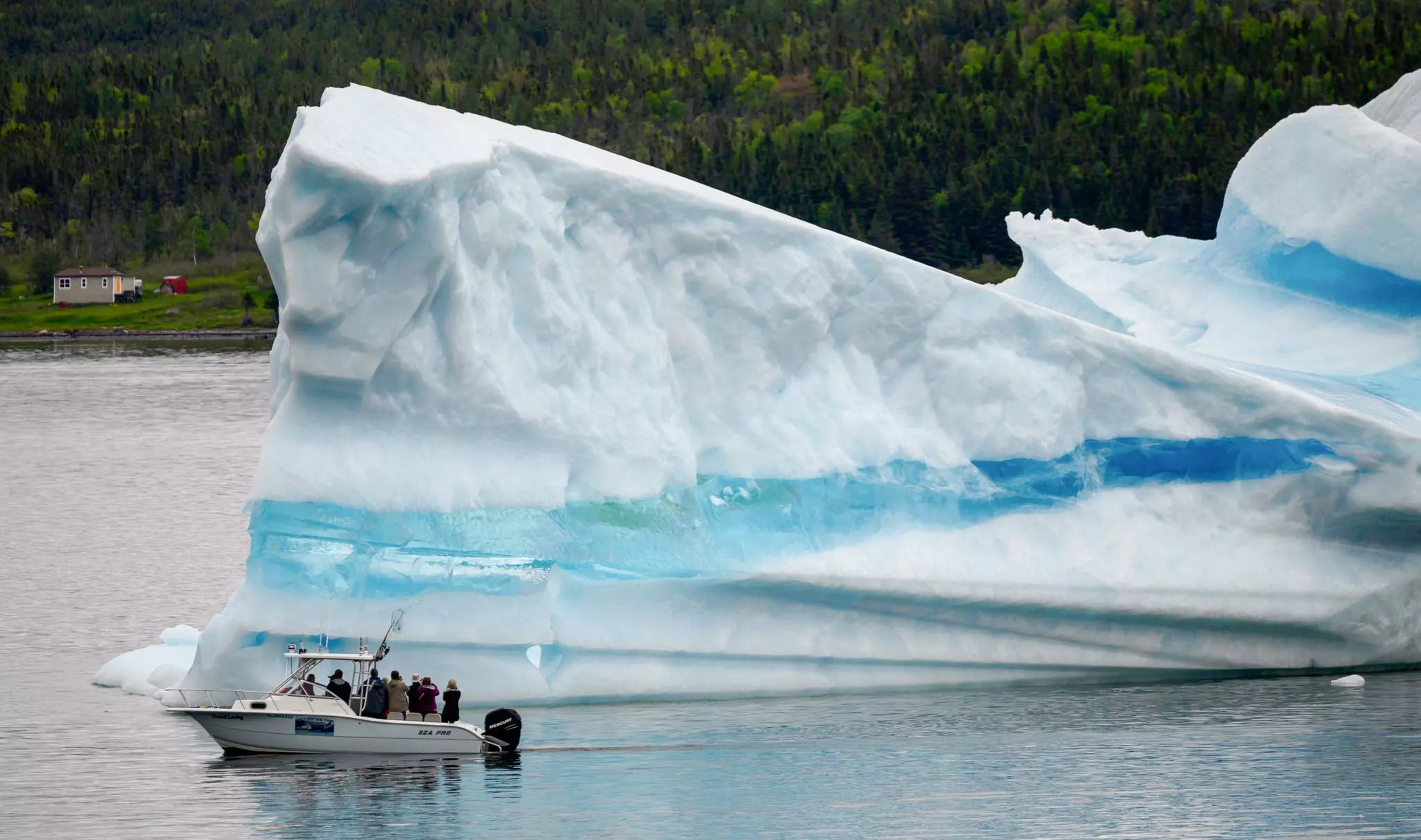 Tour guide and former fisherman, Barry Strickland steers his boat next to an iceberg at King's Point.