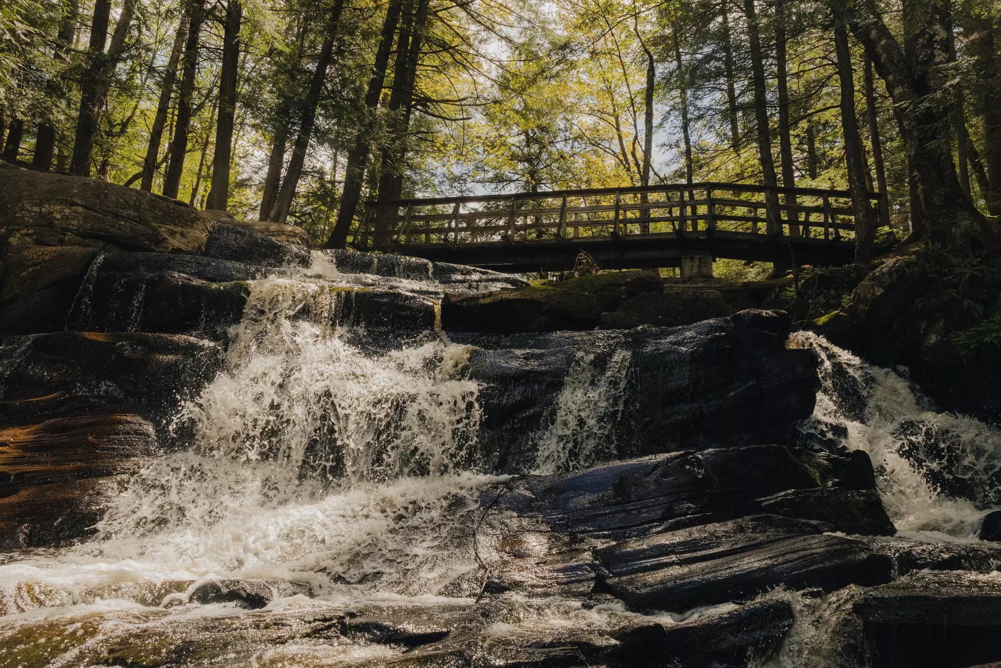 A waterfall in a covered forest with a bridge at the top of it.