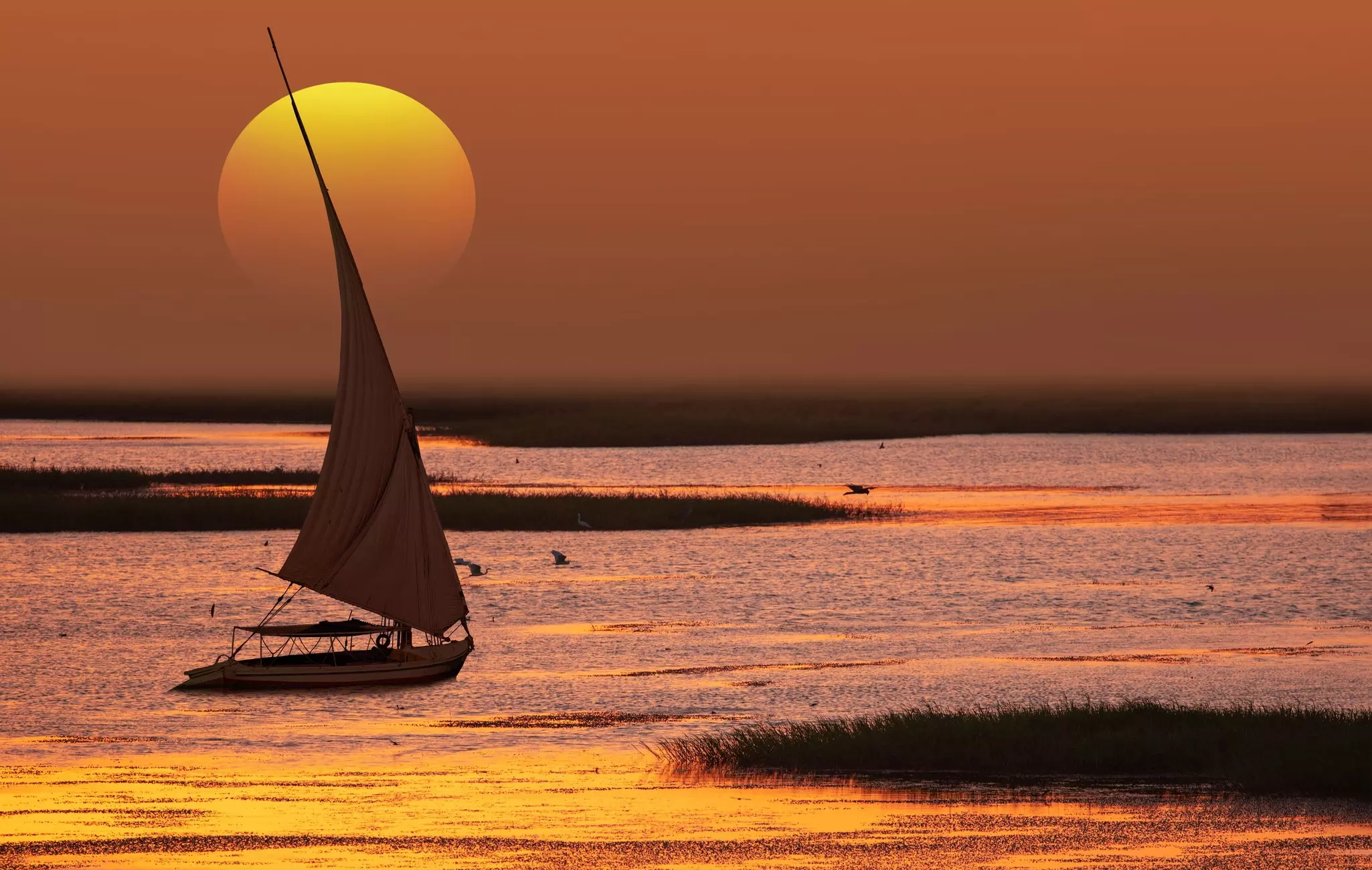 A felucca on the Nile River in Aswan. muratart/Shutterstock