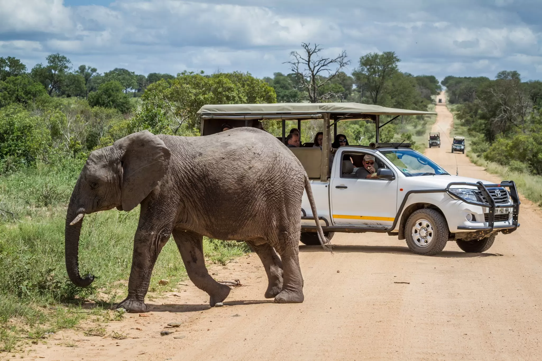 Kruger National Park in South Africa. PACO COMO/Shutterstock