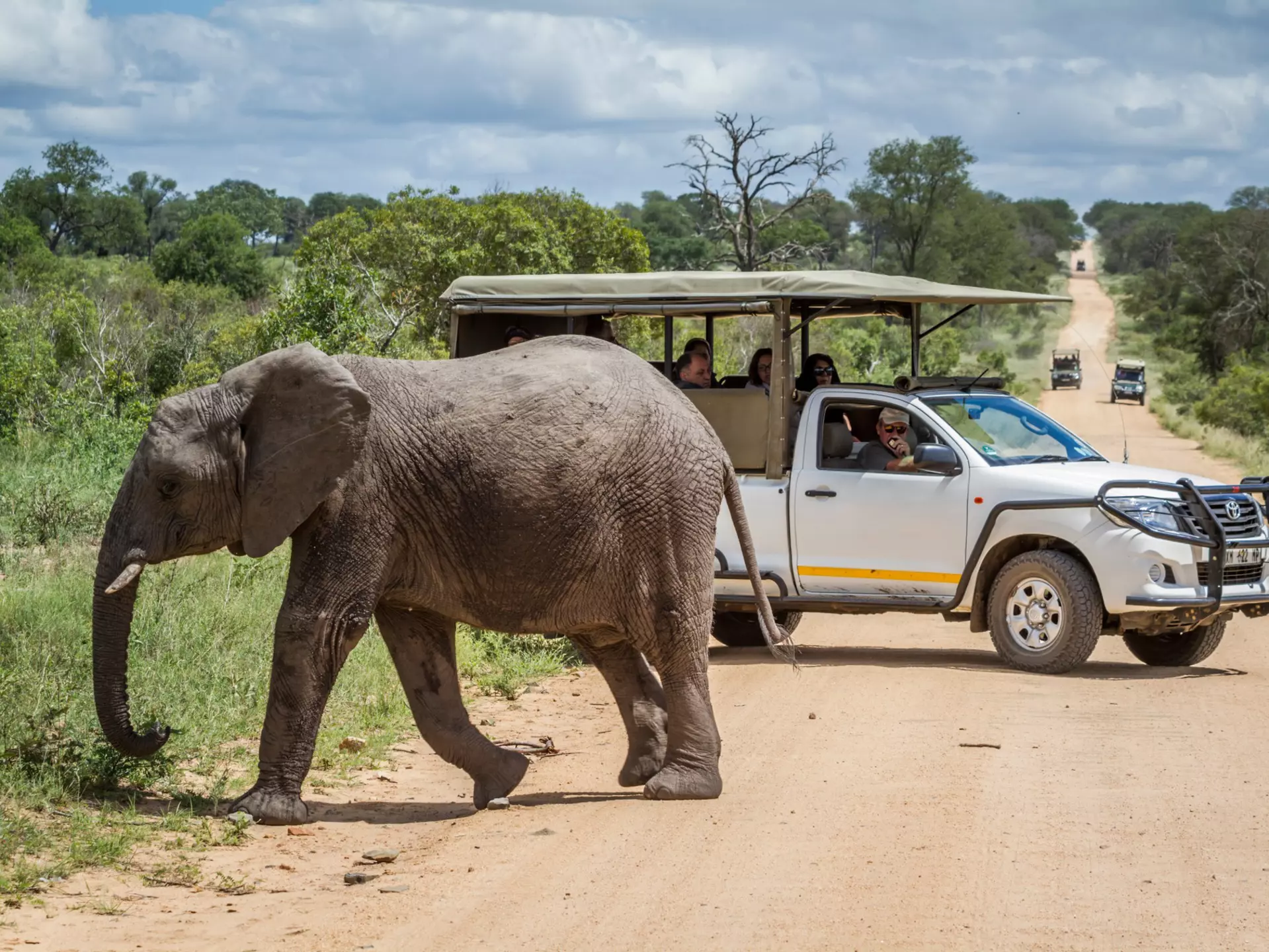 Kruger National Park in South Africa. PACO COMO/Shutterstock
