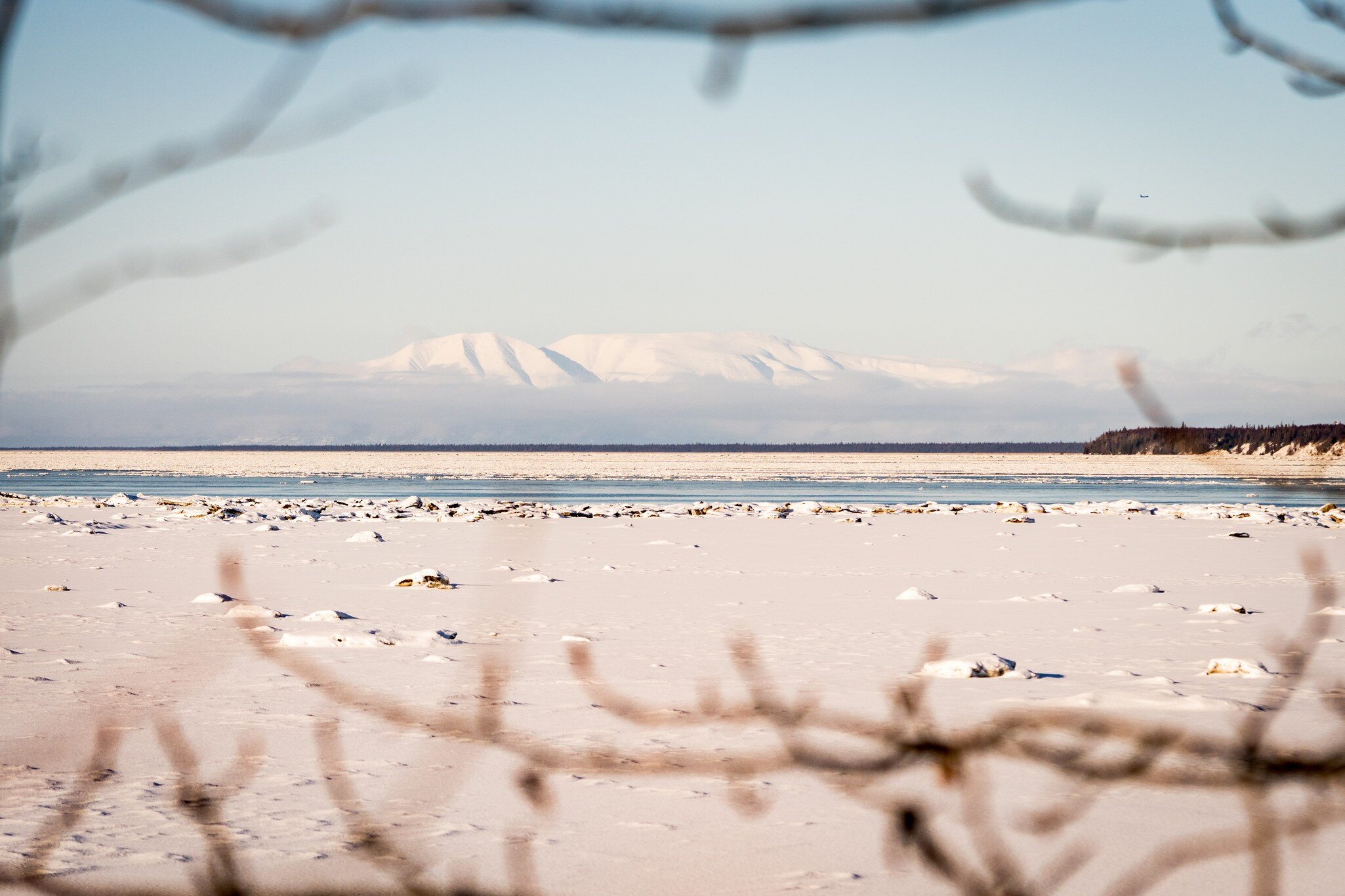 Beautiful winter landscape of a snowy mountain and frozen Knik Arm taken from Earthquake Park while following Tony Knowles Coastal Trail in Anchorage, Alaska. Snow. Branches frame. 