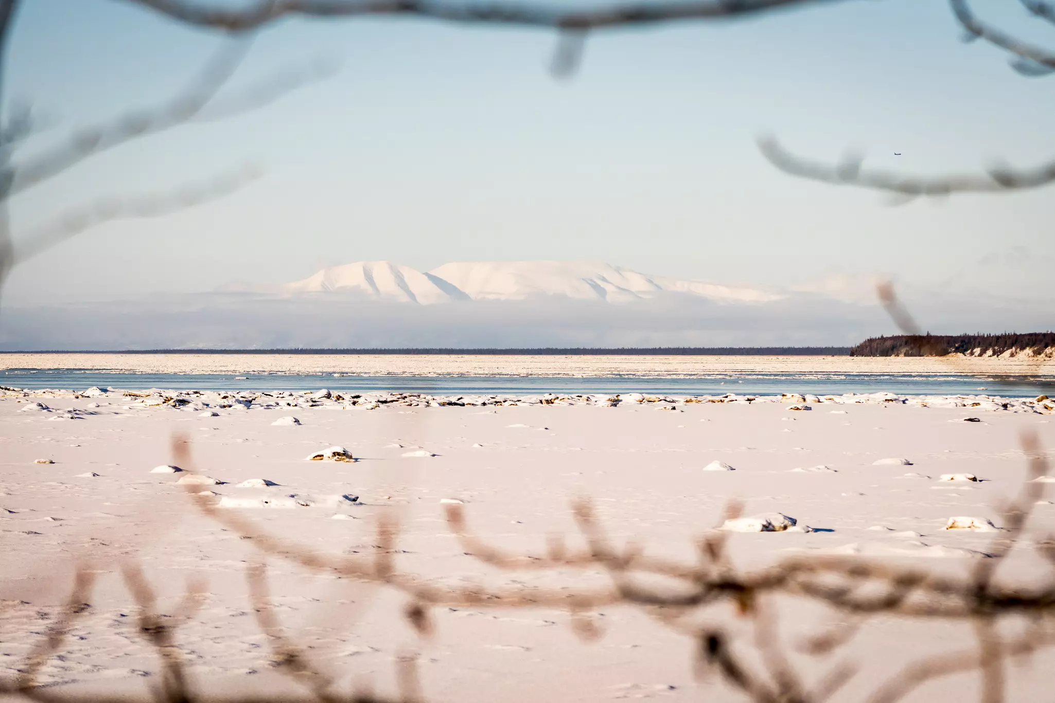 Beautiful winter landscape of a snowy mountain and frozen Knik Arm taken from Earthquake Park while following Tony Knowles Coastal Trail in Anchorage, Alaska. Snow. Branches frame. Near Woronzof Park,