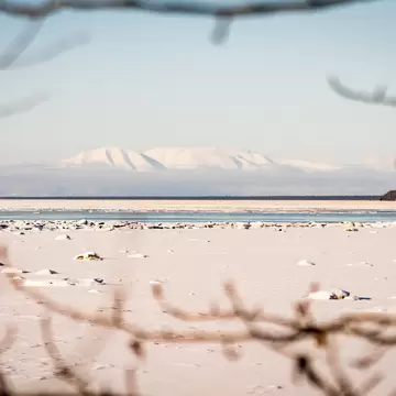 Beautiful winter landscape of a snowy mountain and frozen Knik Arm taken from Earthquake Park while following Tony Knowles Coastal Trail in Anchorage, Alaska. Snow. Branches frame. 