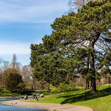 Trees Growing On Landscape