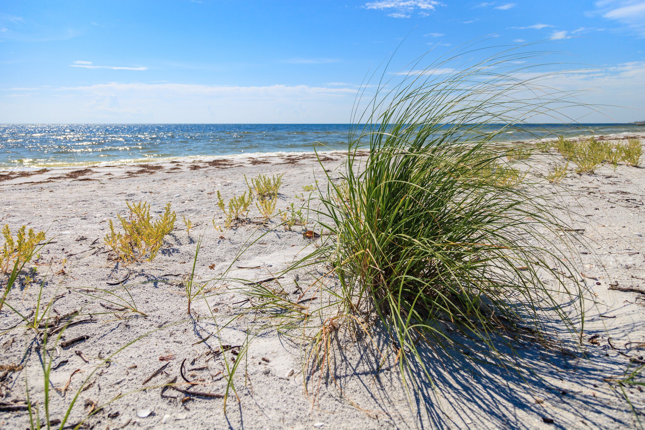 Cayo Costa State Park on La Costa Island is lined with undisturbed, pristine white beaches.; Shutterstock ID 604218512;