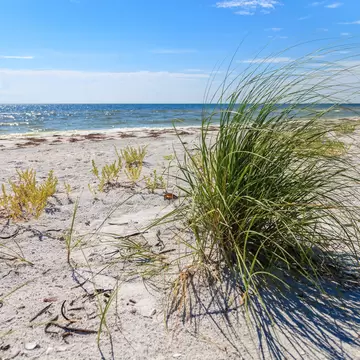 Cayo Costa State Park on La Costa Island is lined with undisturbed, pristine white beaches.; Shutterstock ID 604218512;