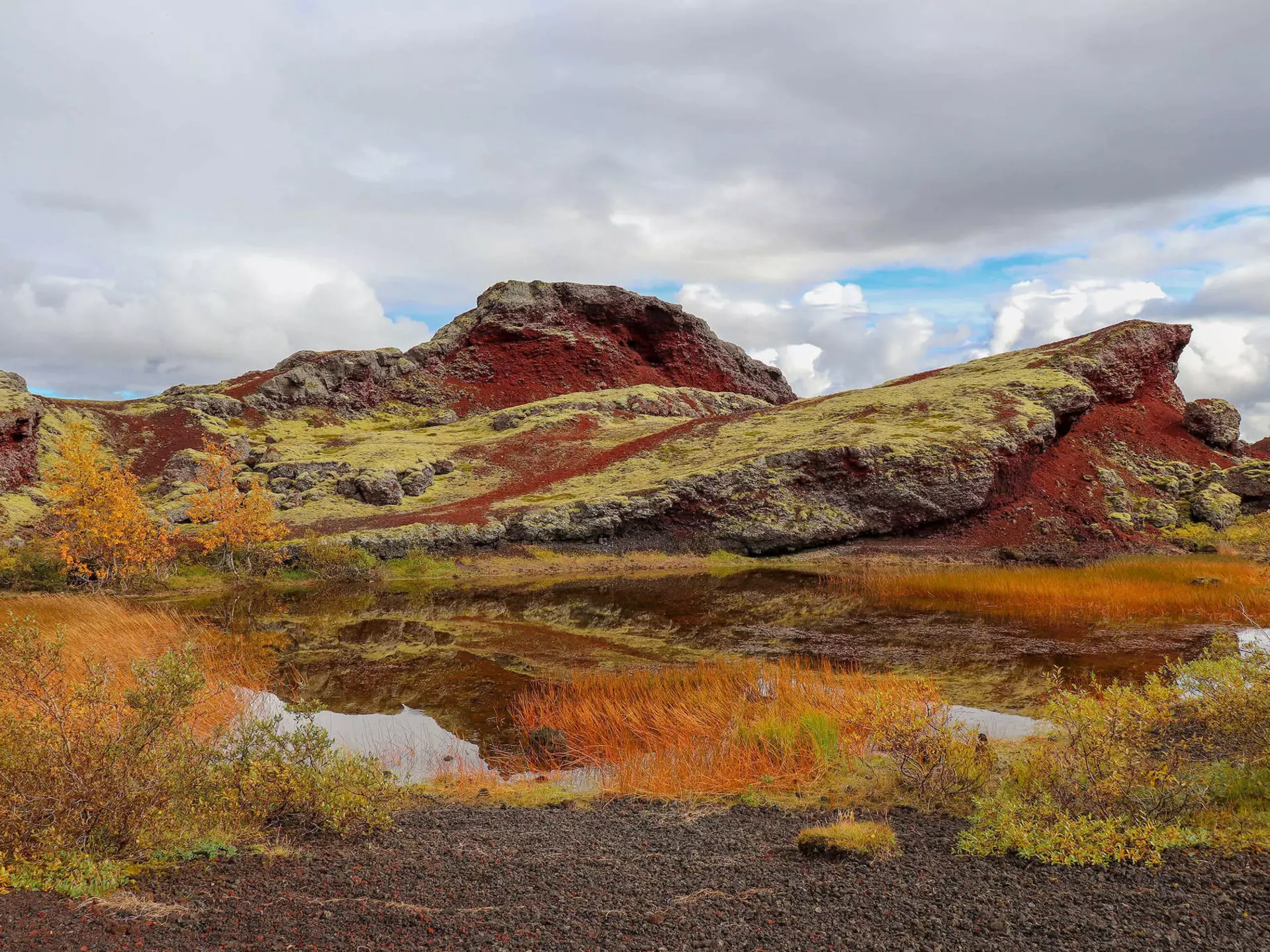 Beautiful autumn colors at Heiðmörk, Iceland