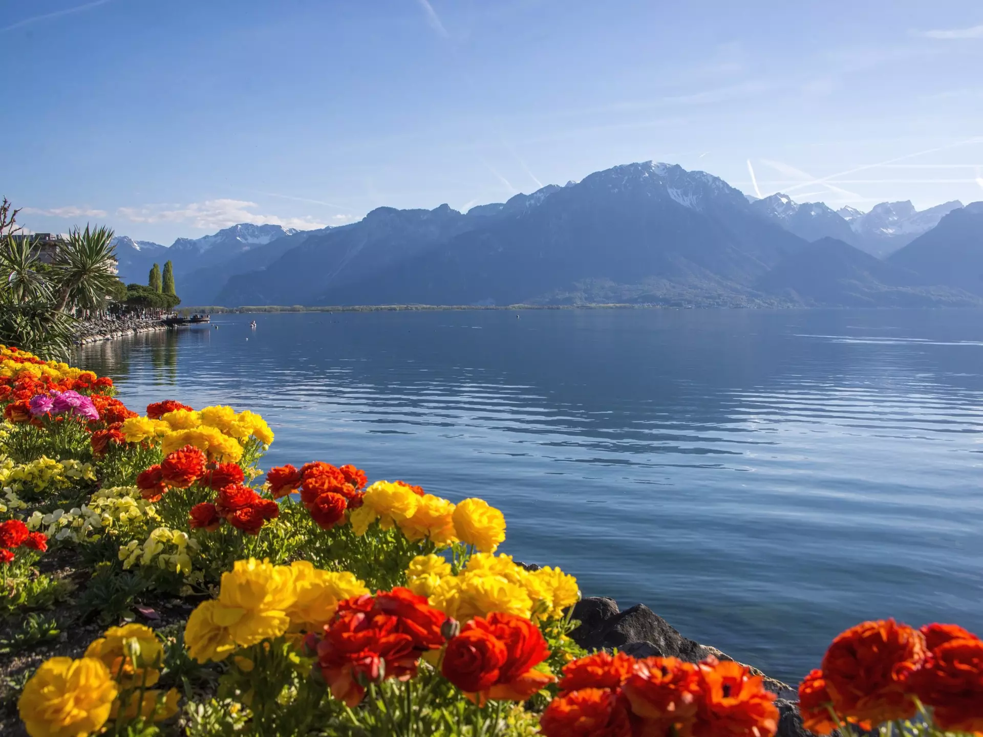 view of the Alps, Geneva lake and Montreux cityscape with colorful flowers in foreground on a sunny summer day, Canton of Vaud, Switzerland, License Type: media, Download Time: 2025-12-03T18:59:06.000Z, User: fabricencoredesign31, Editorial: false, purchase_order: 56530 - Guidebooks, job: Global Publishing-WIP, client: Experience Switzerland 1, other: Fabrice Robin