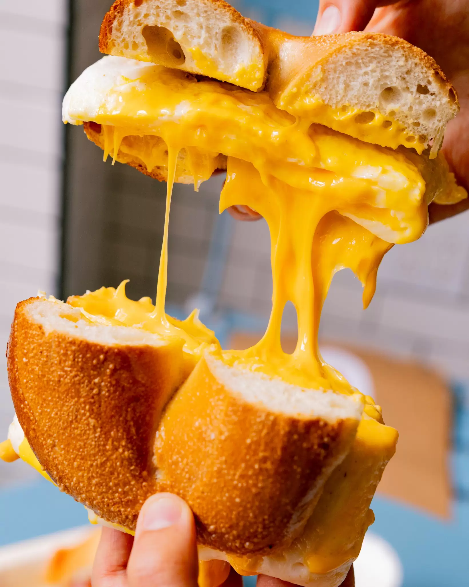 Brooklyn, New York May 30th 2026 -- Shelsky's Court Street . cheese pull, egg and cheese on a plain bagel Contact :
Brooklyn, New York May 30th 2026 -- Shelsky's on Court Street . Contact; shelskys@shelskys.com