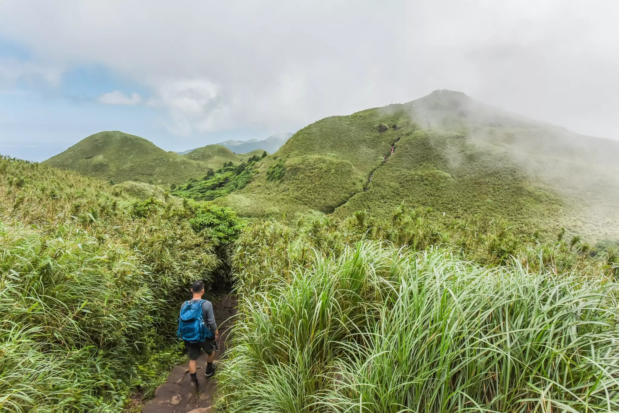 The Trail To Qixin Main Peak (The Highest Mountain Of Taipei), in Yangmingshan National Park