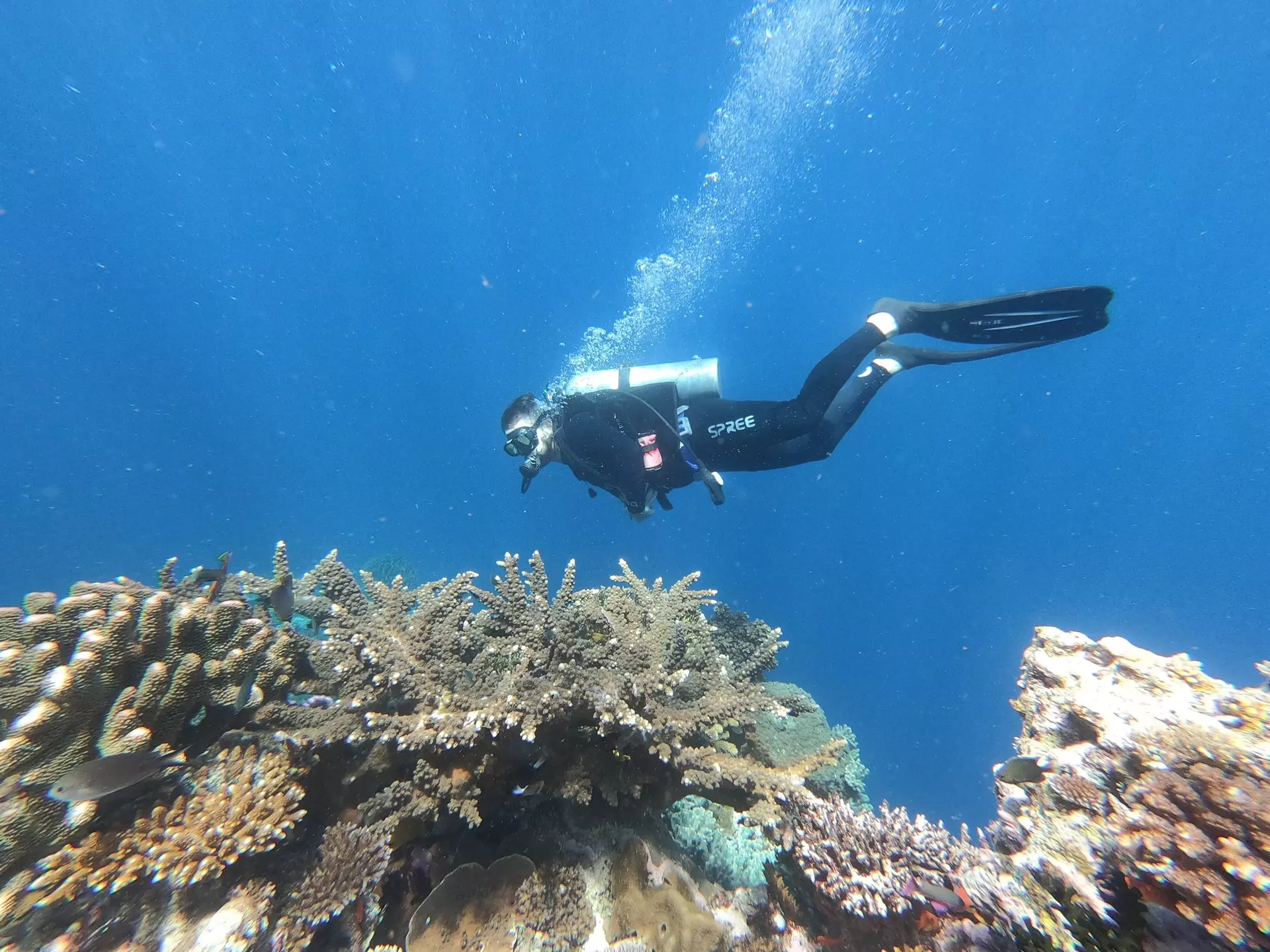 Fiji-Diving_bligh-water.jpg