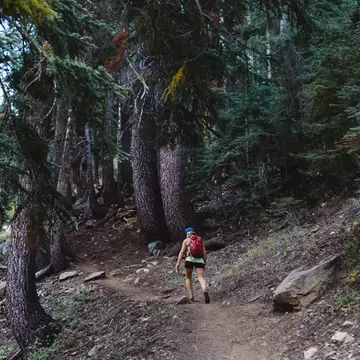 Woman hiking through forest, rear view, Mineral King, Sequoia National Park, California, USA