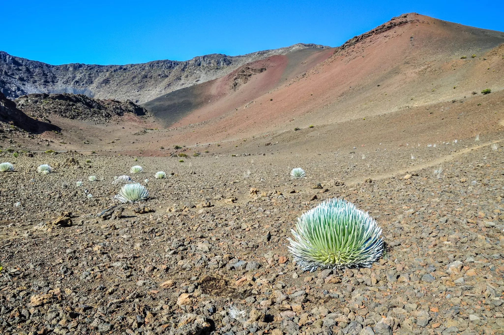 The center of Haleakala Crater in Haleakala National Park on the island of Maui.