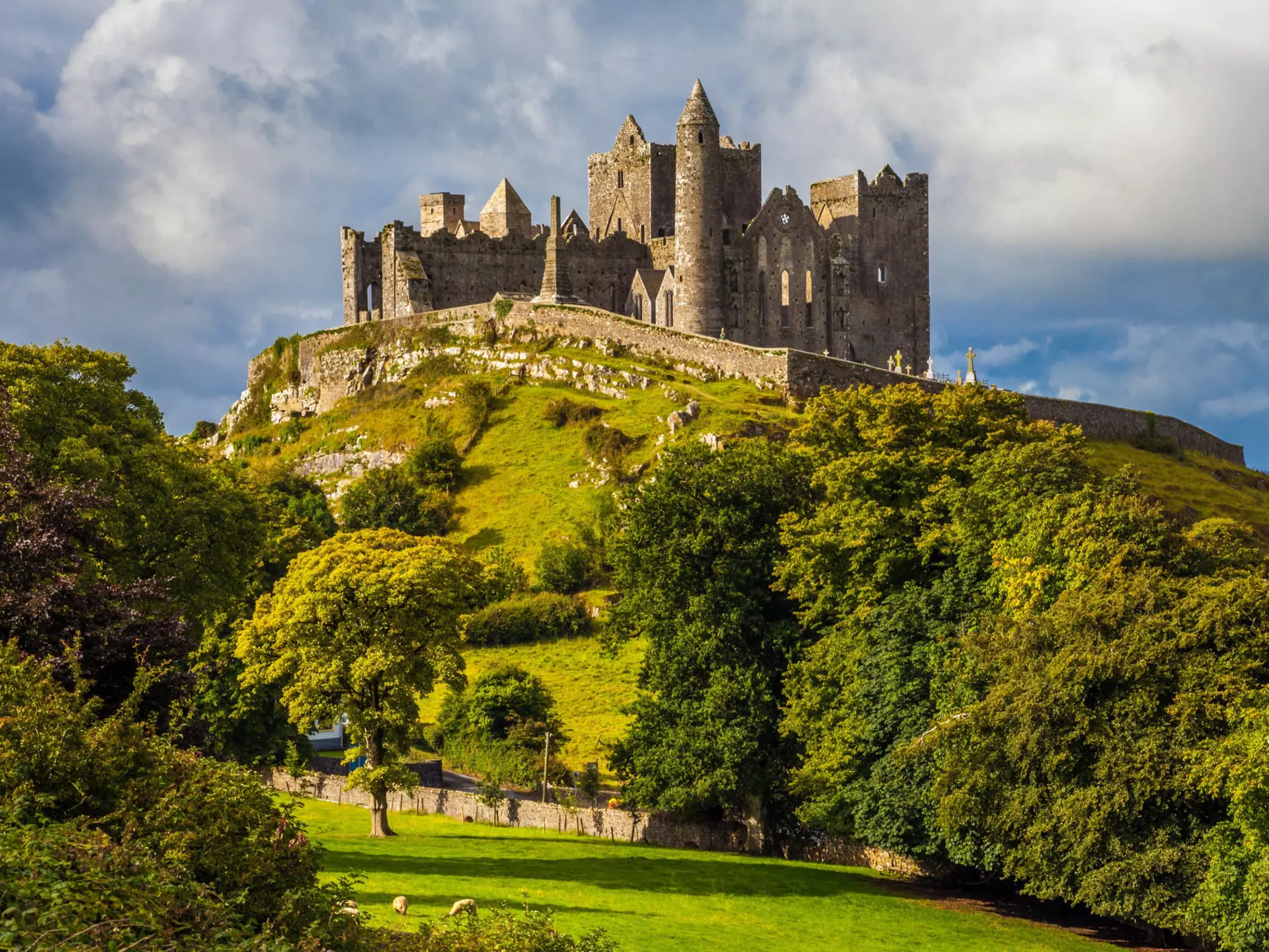Rock of Cashel on a sunny day.
752354146
background, building, cashel, castle, cathedral, chapel, church, cloud, countryside, europe, grass, green, hill, historic, history, ireland, irish, landscape, medieval, monastery, old, place, powerful, religious, rock, rock of cashel, ruin, sheep, site, stone, tipperary, tower, travel, trees, wall, windows