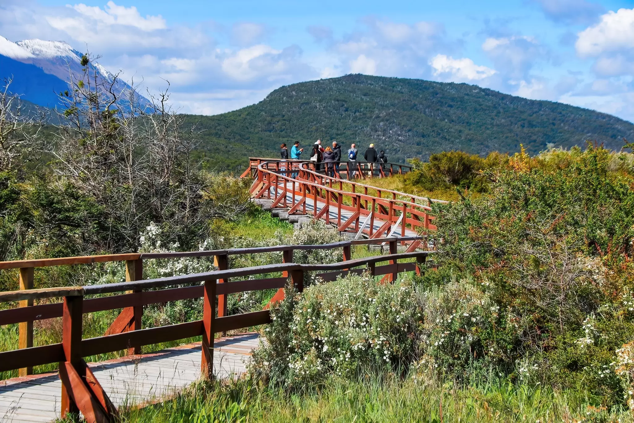 View of a boardwalk pathway in the Tierra del Fuego National Park near Ushuaia in the southernmost point of Argentina.