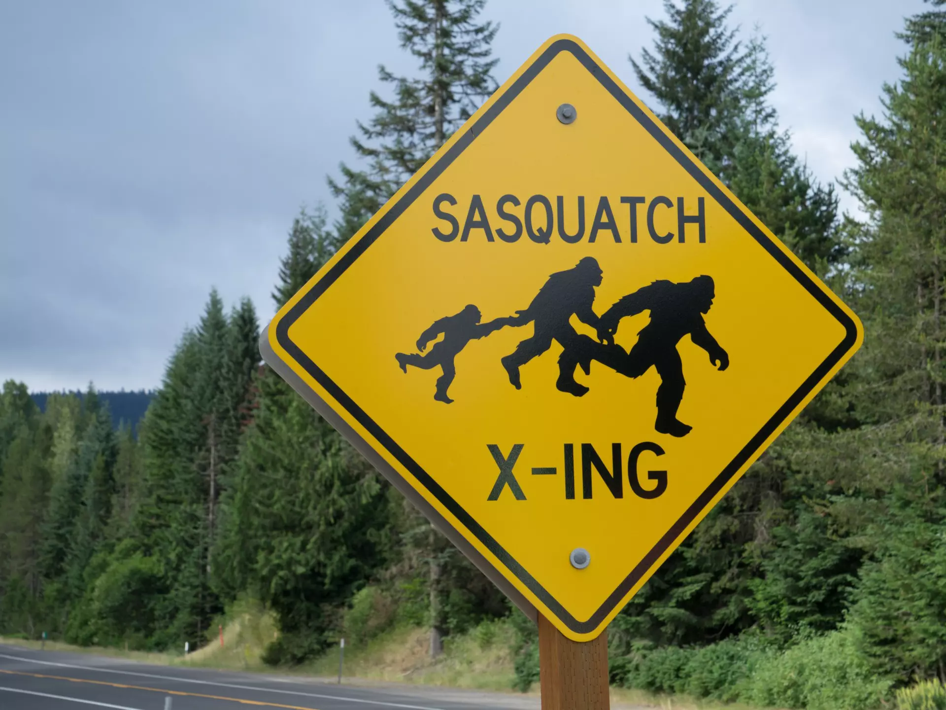 Sasquatch sightings are supposedly rampant in the Pacific Northwest. pabradyphoto / Getty Images