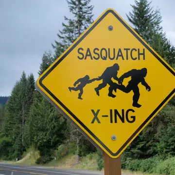 Sasquatch sightings are supposedly rampant in the Pacific Northwest. pabradyphoto / Getty Images