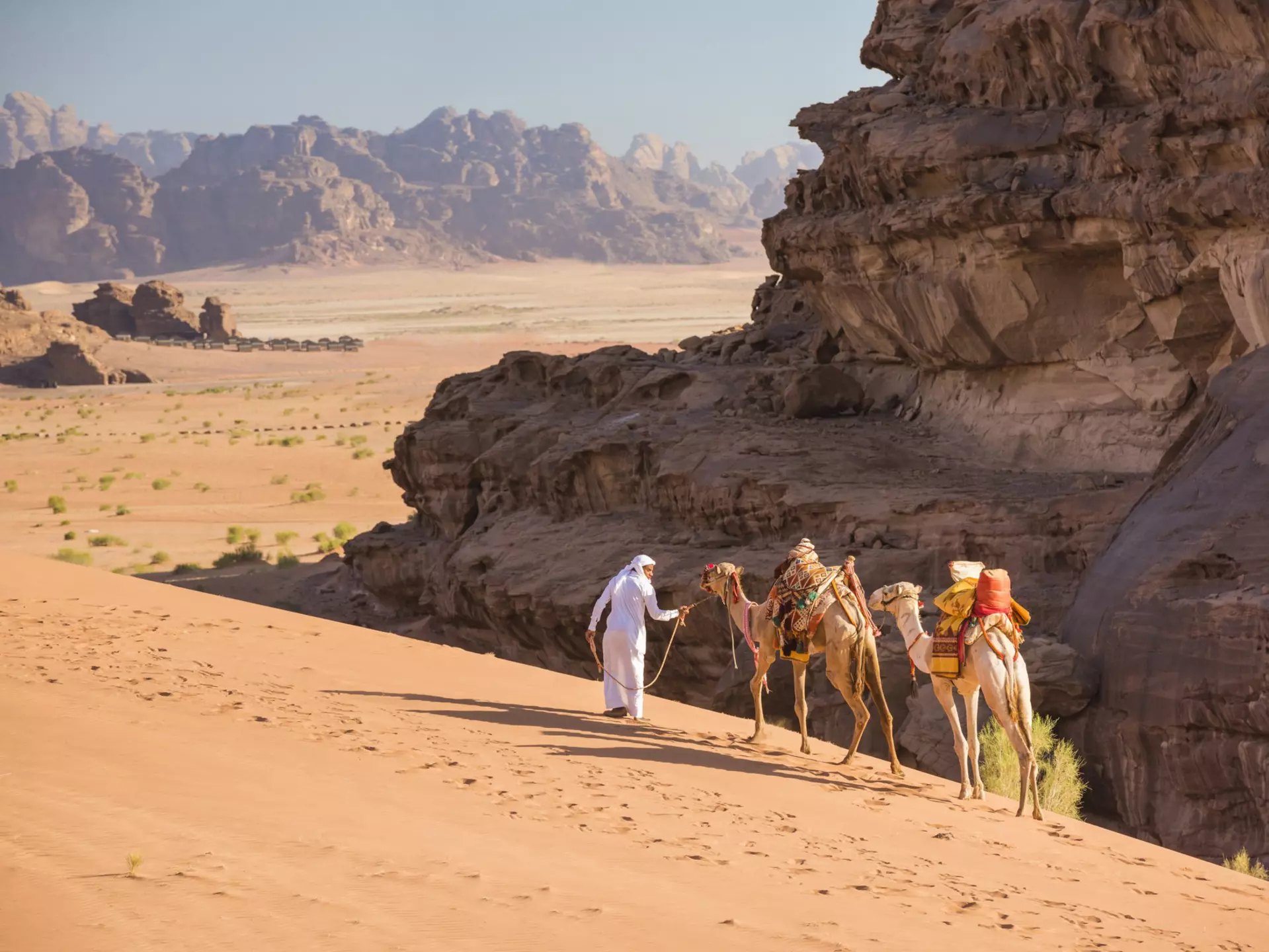 A Bedouin guide leads his two dromedary.camels over the tall dunes of Wadi Rum