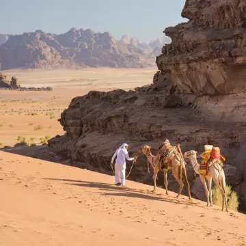 A Bedouin guide leads his two dromedary.camels over the tall dunes of Wadi Rum