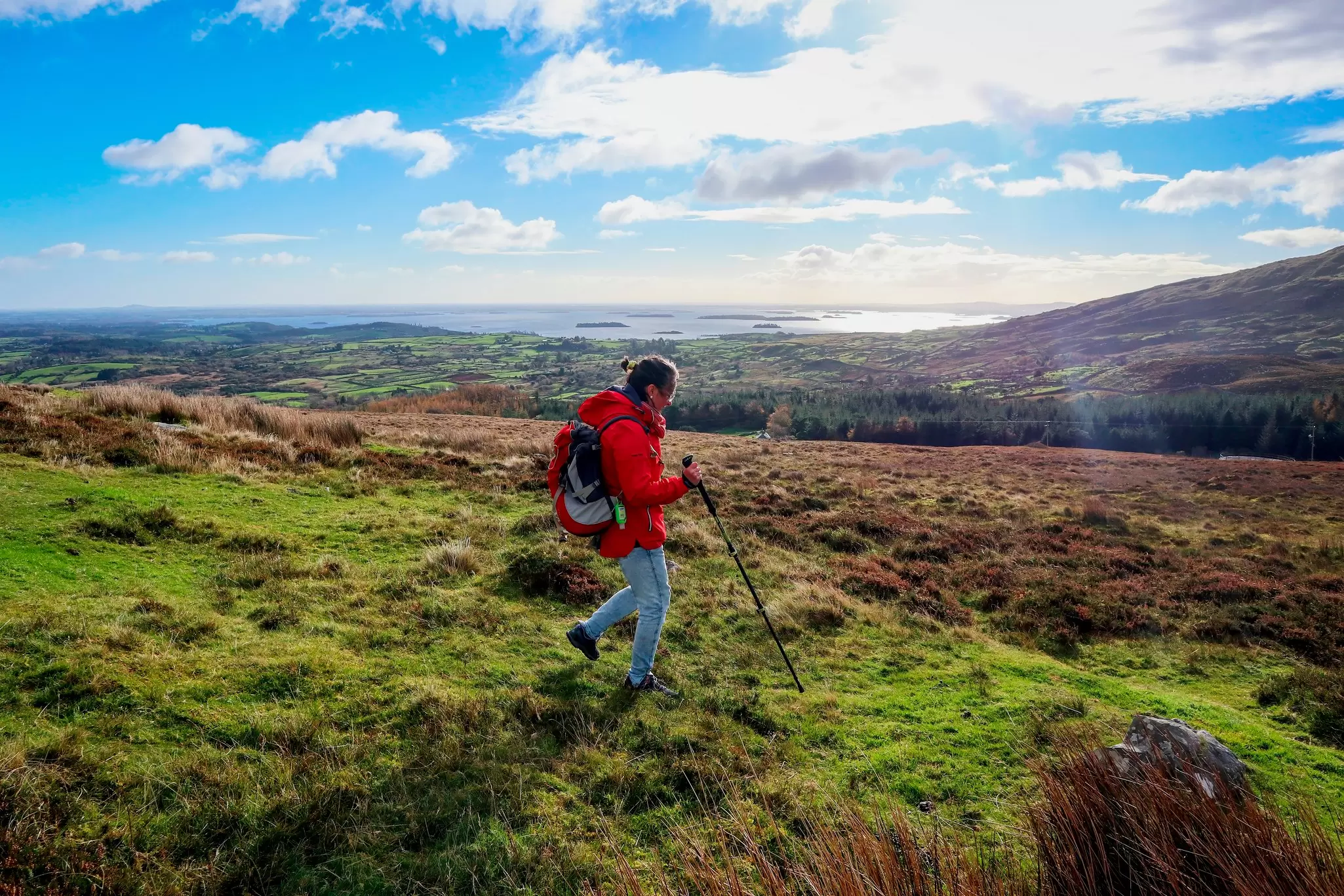 A hiker wearing a red coat and using a walking stick in a grassy hillside with a lake in the background.