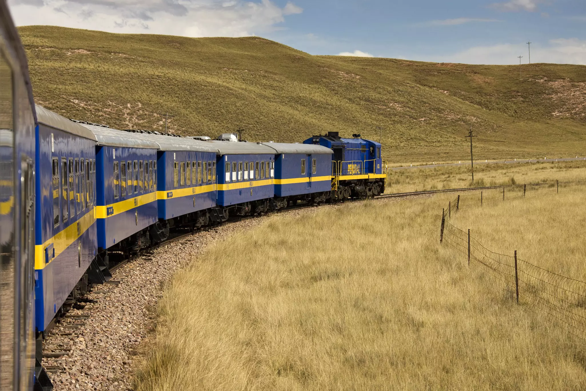 A blue-and-yellow train weaves around a corner in a grassy landscape in Peru.