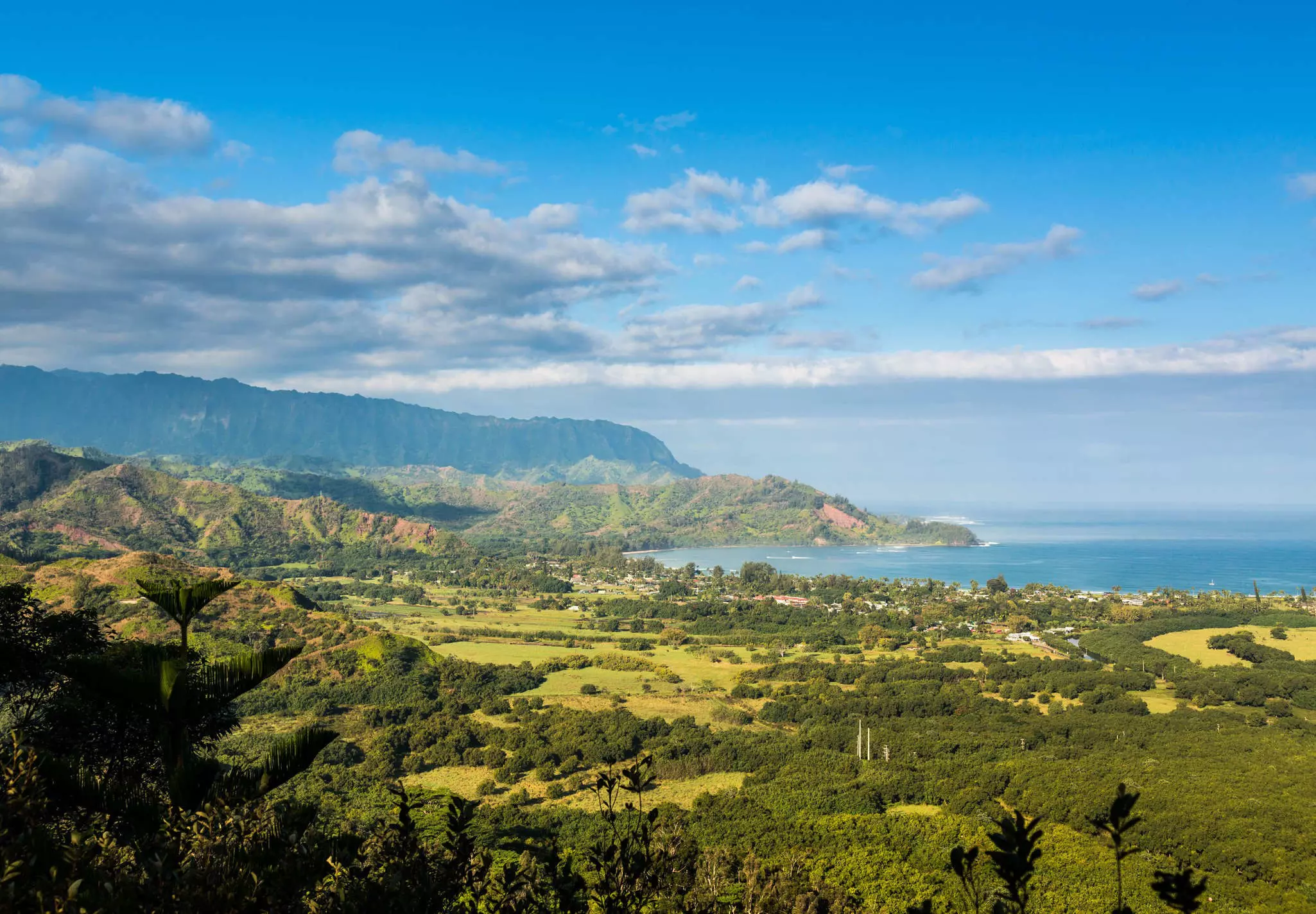 View over Hanalei bay and Na Pali range from Okolehao Trail near Hanalei, Kauai, Hawaii