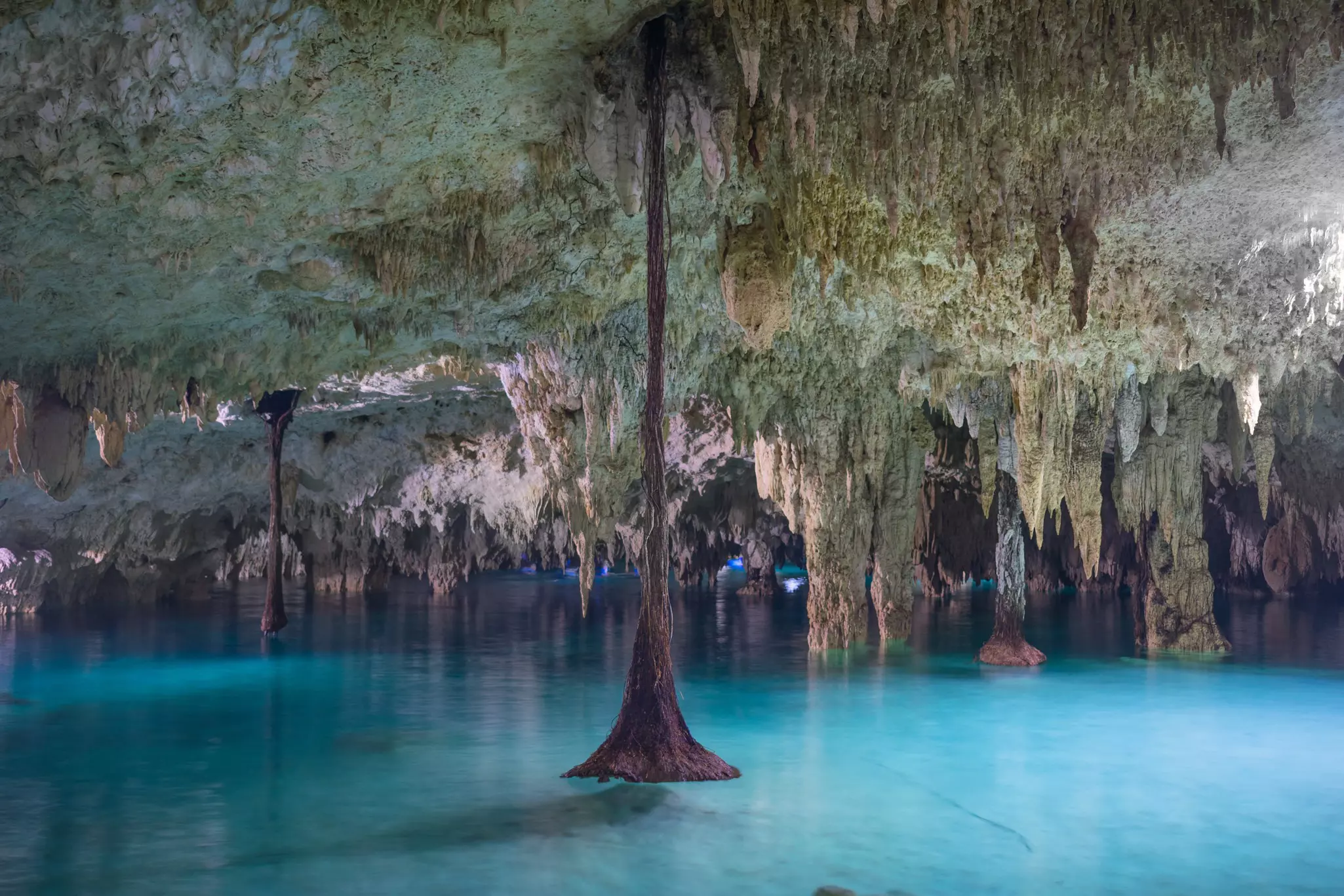 The water in the Yucatán cenotes is so naturally clean and drinkable © Nido Huebl / Shutterstock