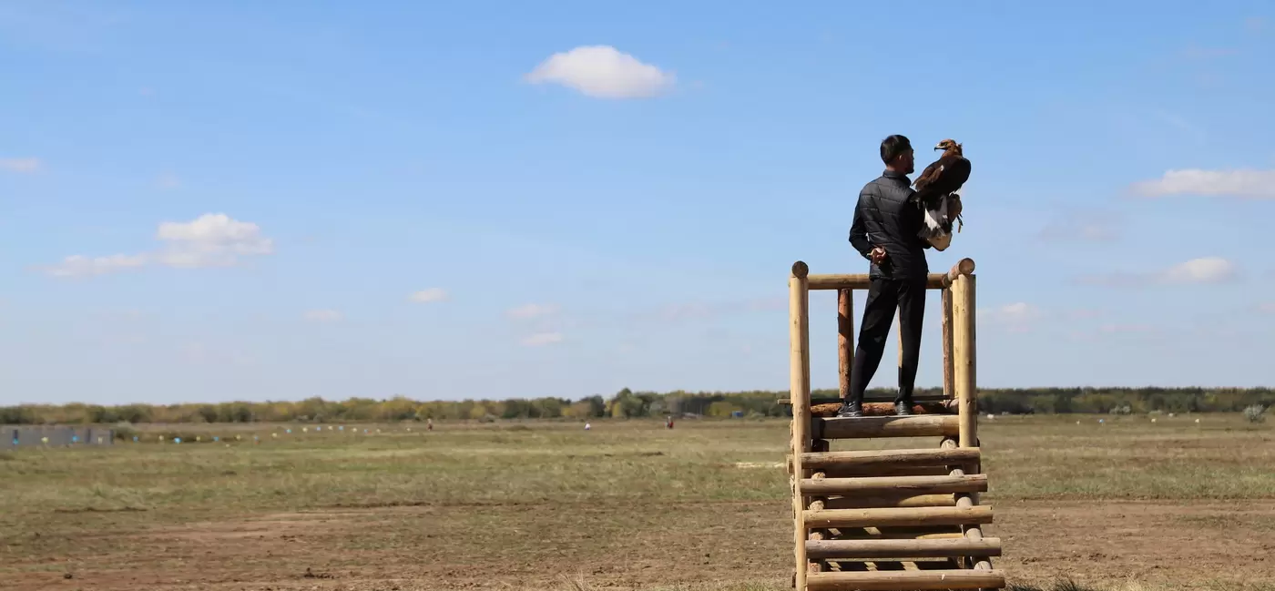 A man stands on a platform in a wide open field holding an eagle
