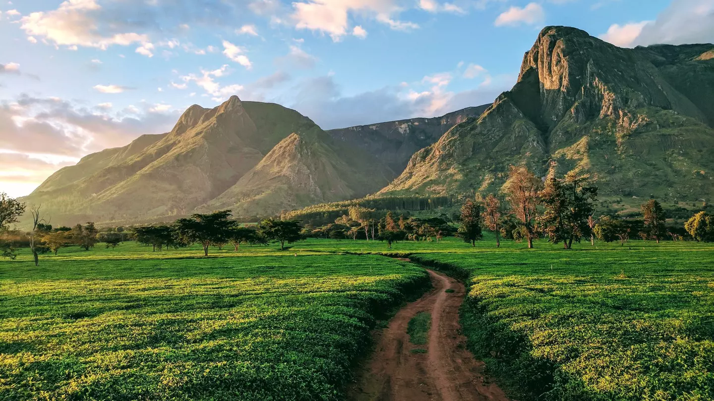 Malawi is home to beautifully diverse natural landscapes © Jason Grunsta / Getty Images