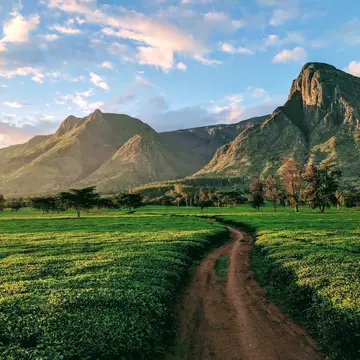 Malawi is home to beautifully diverse natural landscapes © Jason Grunsta / Getty Images